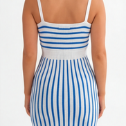 The Elegant Spring/Summer Bicolor Sleeveless Dress