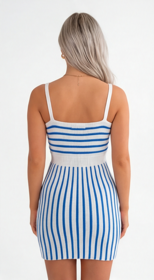 The Elegant Spring/Summer Bicolor Sleeveless Dress