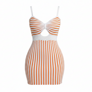 The Elegant Spring/Summer Bicolor Sleeveless Dress