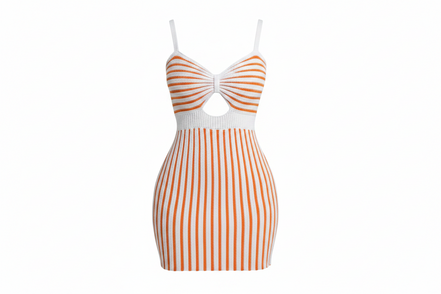 The Elegant Spring/Summer Bicolor Sleeveless Dress