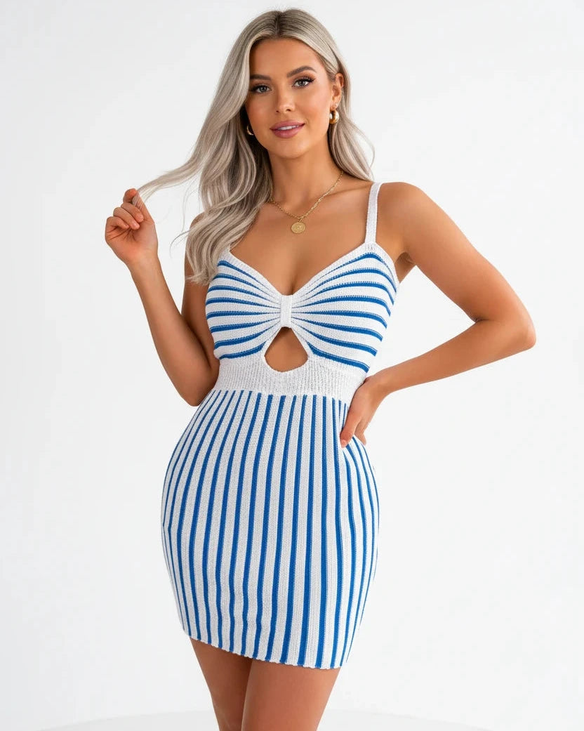 The Elegant Spring/Summer Bicolor Sleeveless Dress