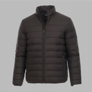 The Puffer Winter Jacket