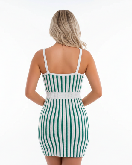 The Elegant Spring/Summer Bicolor Sleeveless Dress