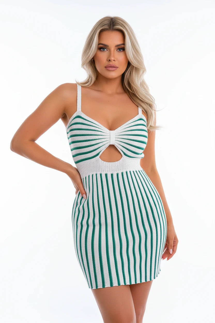 The Elegant Spring/Summer Bicolor Sleeveless Dress