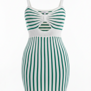 The Elegant Spring/Summer Bicolor Sleeveless Dress