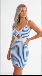 The Elegant Spring/Summer Bicolor Sleeveless Dress