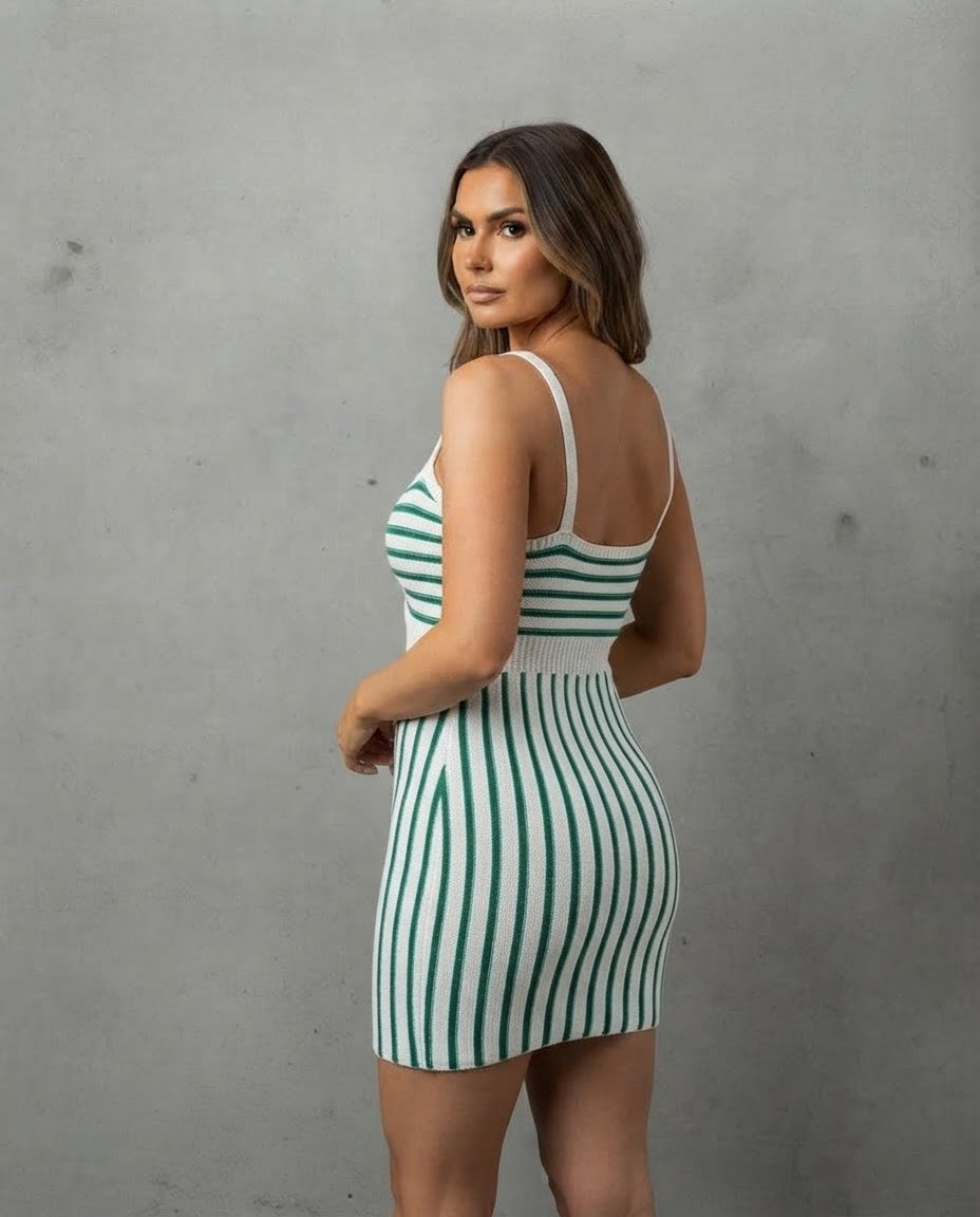 The Elegant Spring/Summer Bicolor Sleeveless Dress