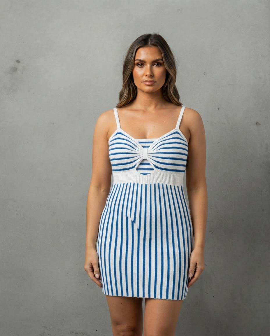 The Elegant Spring/Summer Bicolor Sleeveless Dress