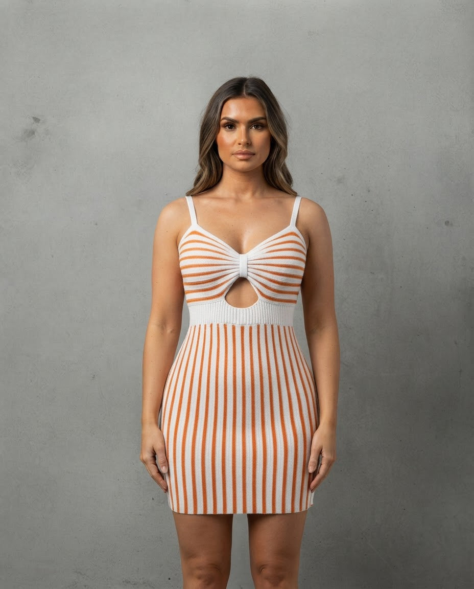 The Elegant Spring/Summer Bicolor Sleeveless Dress